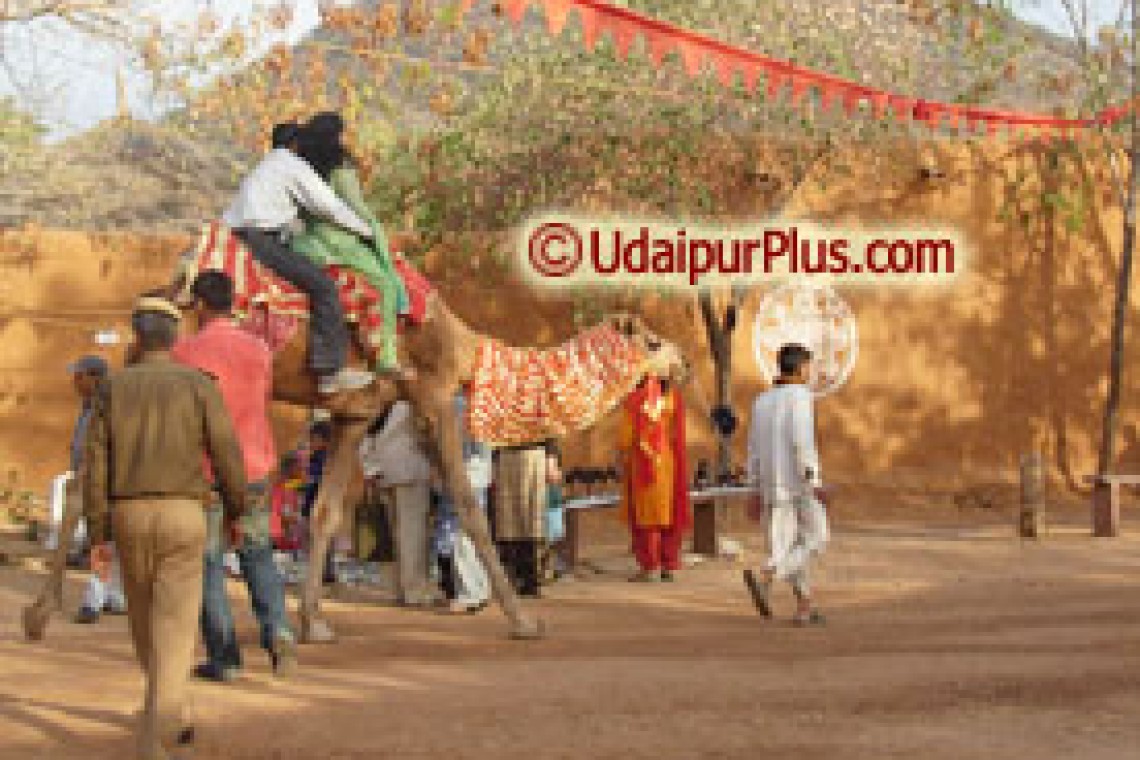 shilpgram_camel_ride